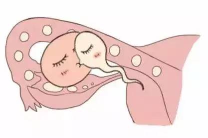 一般不妊検査・タイミング療法
